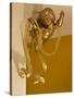 Gold Ribbon Trailing over Cherub Figure in Corner of Room-Richard Bryant-Stretched Canvas