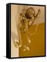 Gold Ribbon Trailing over Cherub Figure in Corner of Room-Richard Bryant-Framed Stretched Canvas