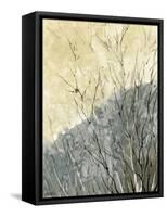 Gold Ridge-null-Framed Stretched Canvas