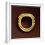 Gold Ring, from Bologna, Italy-null-Framed Giclee Print