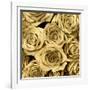 Gold Roses-Kate Bennett-Framed Art Print