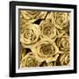 Gold Roses-Kate Bennett-Framed Art Print