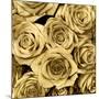 Gold Roses-Kate Bennett-Mounted Art Print