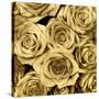 Gold Roses-Kate Bennett-Stretched Canvas