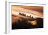 Gold Rush Fog Sweeping Hills of Mou7nt Tamalpais, Tam Marin-Vincent James-Framed Photographic Print