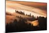 Gold Rush Fog Sweeping Hills of Mou7nt Tamalpais, Tam Marin-Vincent James-Mounted Photographic Print