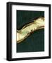 Gold Rush Panel I-J^ McKenzie-Framed Giclee Print