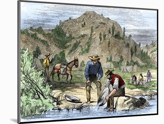 Gold Rush Prospectors Washing Sediments from a Stream to Find Nuggets in California-null-Mounted Giclee Print