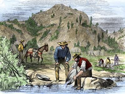 California Gold Rush Posters & Wall Art Prints | AllPosters.com California Gold Rush Posters & Wall Art Prints | AllPosters.com