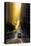 Gold Rush, San Francisco, Magical California Street Sunrise Light-Vincent James-Stretched Canvas