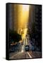 Gold Rush, San Francisco, Magical California Street Sunrise Light-Vincent James-Framed Stretched Canvas