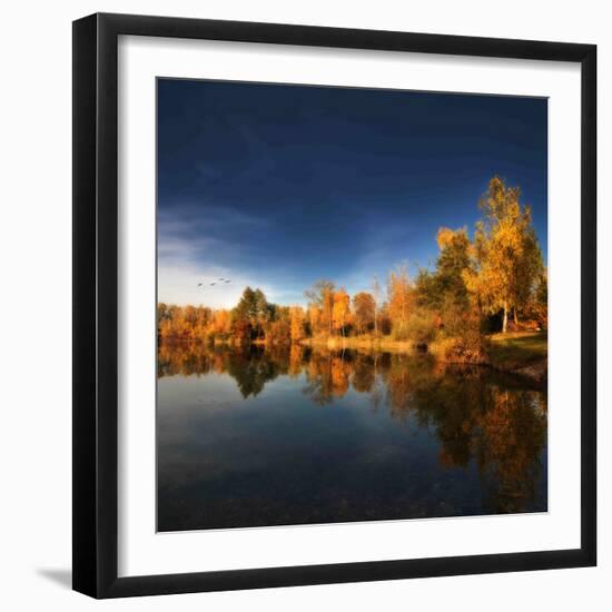 Gold Rush-Philippe Sainte-Laudy-Framed Photographic Print