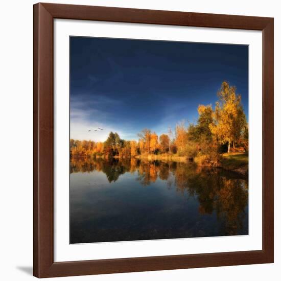 Gold Rush-Philippe Sainte-Laudy-Framed Photographic Print