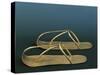 Gold Sandals of Sheshanq from Tanis-null-Stretched Canvas