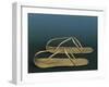 Gold Sandals of Sheshanq from Tanis-null-Framed Giclee Print