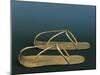 Gold Sandals of Sheshanq from Tanis-null-Mounted Giclee Print