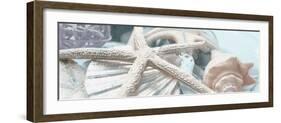 Gold Seashells I-Susan Bryant-Framed Photographic Print