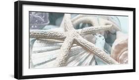 Gold Seashells I-Susan Bryant-Framed Photographic Print