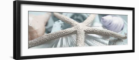 Gold Seashells II-Susan Bryant-Framed Premium Photographic Print