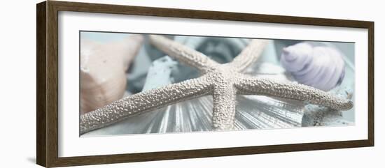 Gold Seashells II-Susan Bryant-Framed Photographic Print