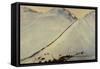 Gold Seekers Crossing the Chilkoot Pass During the Alaskan Gold Rush, 1896-1899-null-Framed Stretched Canvas