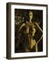 Gold Series Laura Stone-Daniel Stanford-Framed Art Print