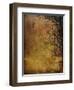 Gold Sky-Christine O’Brien-Framed Giclee Print