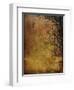 Gold Sky-Christine O’Brien-Framed Giclee Print