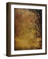 Gold Sky-Christine O’Brien-Framed Giclee Print