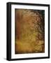 Gold Sky-Christine O’Brien-Framed Giclee Print