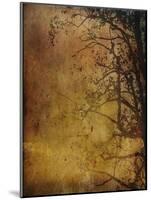 Gold Sky-Christine O’Brien-Mounted Giclee Print