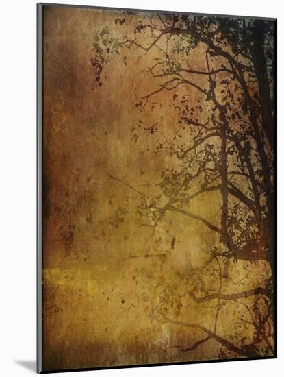 Gold Sky-Christine O’Brien-Mounted Giclee Print