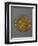 Gold Solidus of Constantine Iii, Minted in Arles, France, 407-411 AD-null-Framed Premium Giclee Print