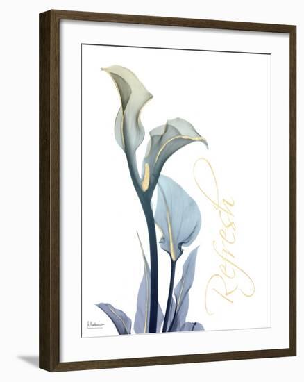 Gold Splash Calla Lily Refresh-Albert Koetsier-Framed Art Print