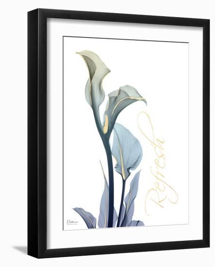 Gold Splash Calla Lily Refresh-Albert Koetsier-Framed Art Print