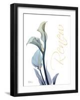 Gold Splash Calla Lily Renew-Albert Koetsier-Framed Art Print