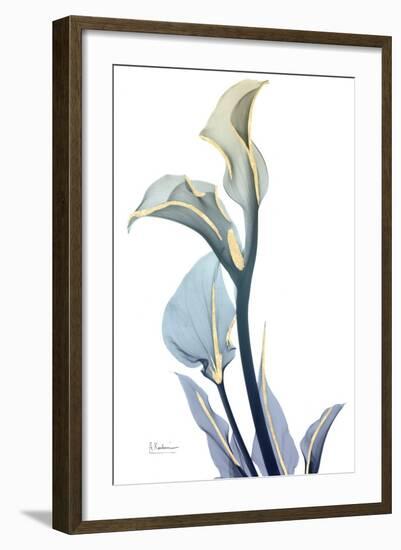 Gold Splash Calla Lily-Albert Koetsier-Framed Art Print