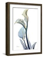 Gold Splash Calla Lily-Albert Koetsier-Framed Art Print