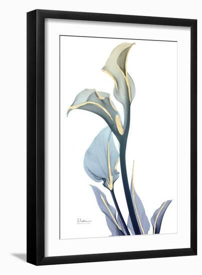 Gold Splash Calla Lily-Albert Koetsier-Framed Art Print