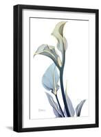 Gold Splash Calla Lily-Albert Koetsier-Framed Art Print