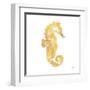 Gold Square Seahorse I-Julie DeRice-Framed Art Print