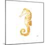 Gold Square Seahorse II-Julie DeRice-Mounted Premium Giclee Print