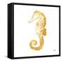 Gold Square Seahorse II-Julie DeRice-Framed Stretched Canvas