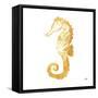 Gold Square Seahorse II-Julie DeRice-Framed Stretched Canvas