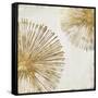 Gold Star I-PI Studio-Framed Stretched Canvas