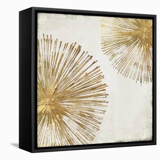 Gold Star I-PI Studio-Framed Stretched Canvas