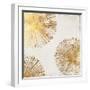 Gold Star II-PI Studio-Framed Premium Giclee Print