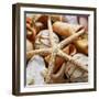 Gold Starfish I-Susan Bryant-Framed Photographic Print