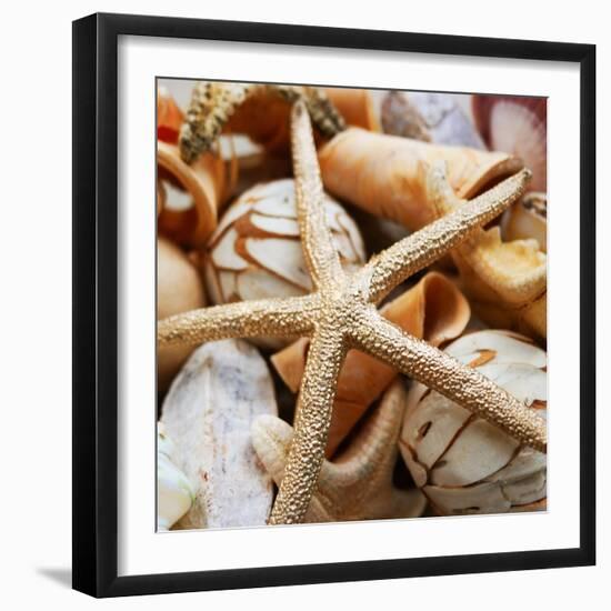 Gold Starfish I-Susan Bryant-Framed Photographic Print
