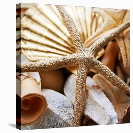 Gold Starfish II-Susan Bryant-Stretched Canvas